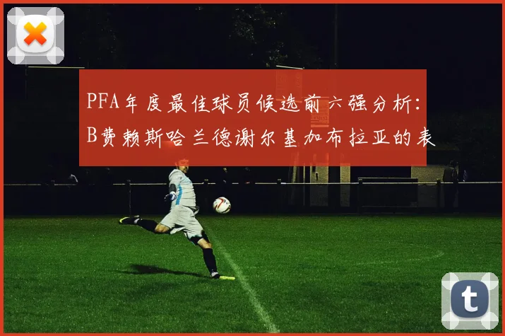 PFA年度最佳球员候选前六强分析：B费赖斯哈兰德谢尔基加布拉亚的表现对比
